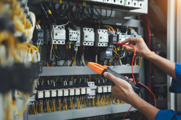 Best Electric Panel Repair  in Theresa, WI